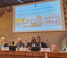 456482035 817521687217918 n