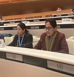 02 03 2023 ambassador himalee arunatilaka CD