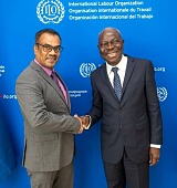 ilo dg