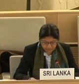 15 march 2016 31 hrc minorityissues